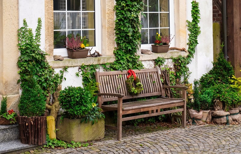 Cascading ivy in fall
